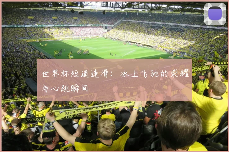 世界杯短道速滑：冰上飞驰的荣耀与心跳瞬间