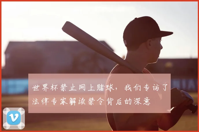 世界杯禁止网上赌球，我们专访了法律专家解读禁令背后的深意
