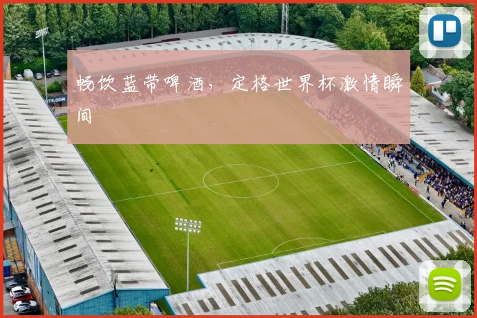 畅饮蓝带啤酒,定格世界杯激情瞬间