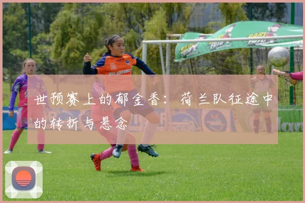 世预赛上的郁金香：荷兰队征途中的转折与悬念