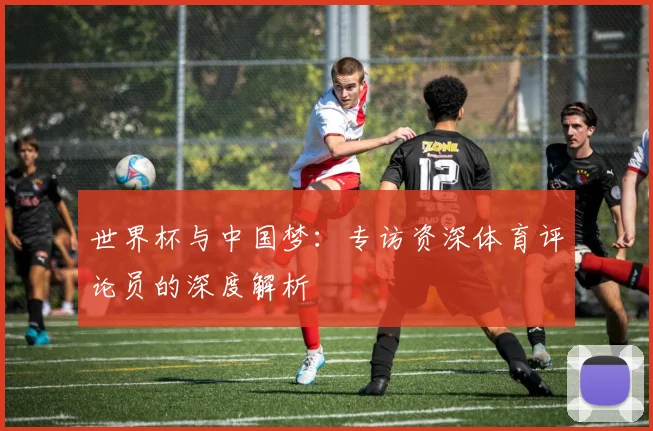 世界杯与中国梦：专访资深体育评论员的深度解析