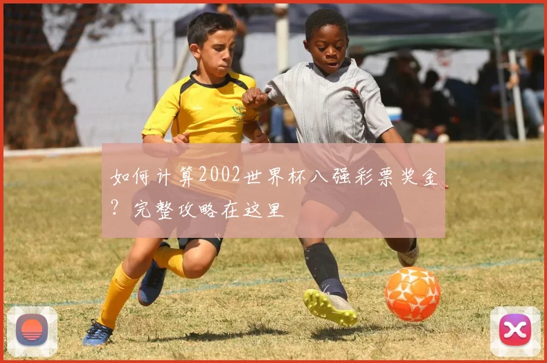 如何计算2002世界杯八强彩票奖金？完整攻略在这里