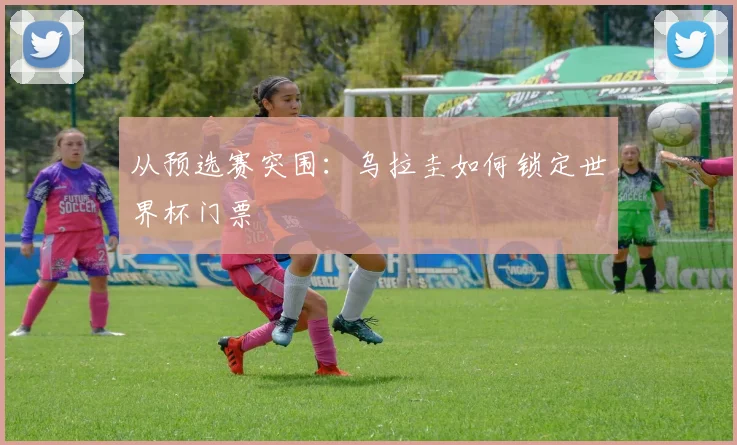从预选赛突围：乌拉圭如何锁定世界杯门票