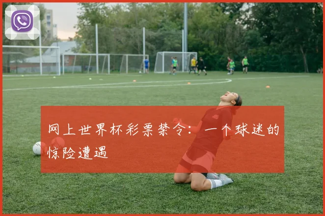 网上世界杯彩票禁令：一个球迷的惊险遭遇
