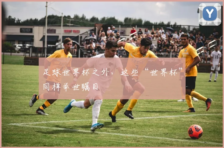 足球世界杯之外，这些“世界杯”同样举世瞩目