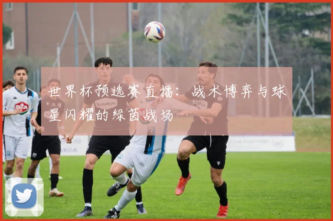 世界杯预选赛直播：战术博弈与球星闪耀的绿茵战场