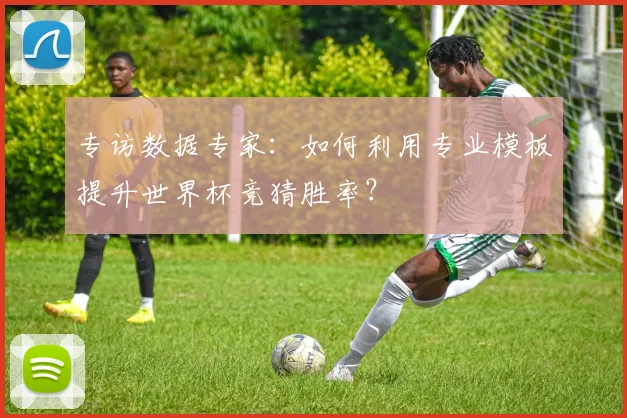 专访数据专家：如何利用专业模板提升世界杯竞猜胜率？