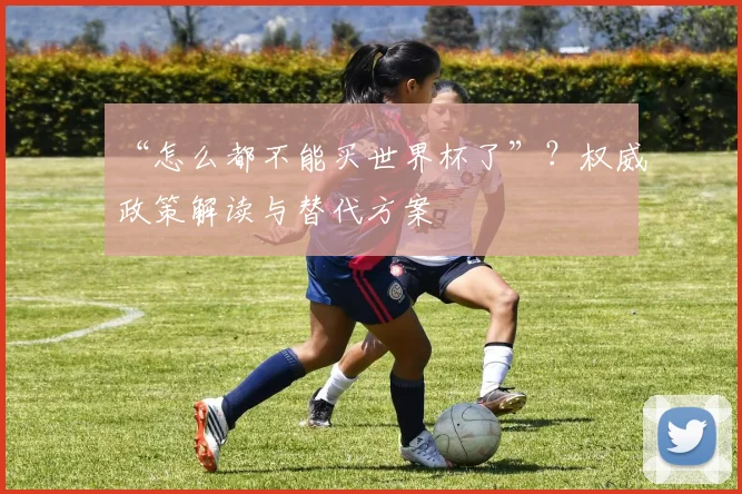 “怎么都不能买世界杯了”？权威政策解读与替代方案