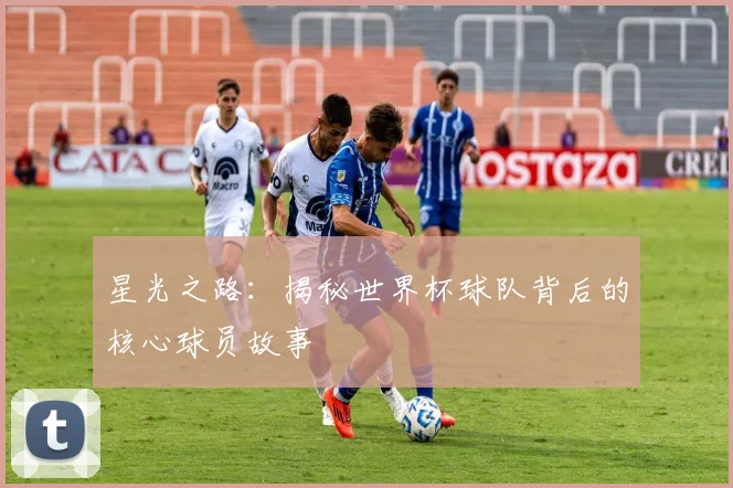 星光之路：揭秘世界杯球队背后的核心球员故事