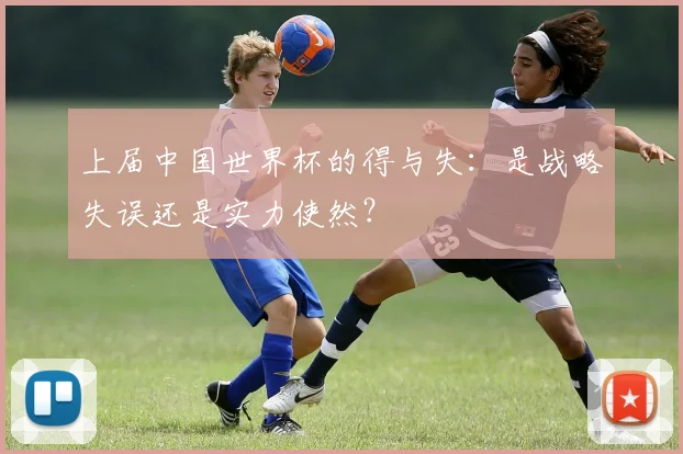 上届中国世界杯的得与失：是战略失误还是实力使然？
